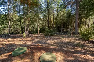 10647 Forbestown Rd, Challenge, CA 95925 - Photo 70