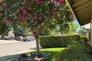 1677 Poplar St, Oakdale, CA 95361 - Photo 22