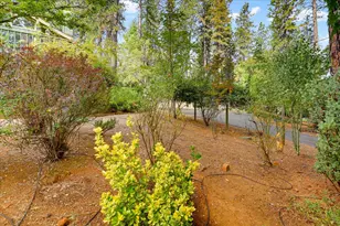 17322 Norlene Way, Grass Valley, CA 95949 - Photo 84