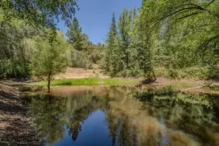17000 Nina Ln, Fiddletown, CA 95629 - Photo 2