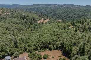 17000 Nina Ln, Fiddletown, CA 95629 - Photo 74