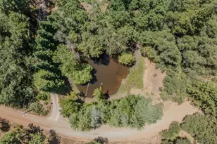 17000 Nina Ln, Fiddletown, CA 95629 - Photo 76