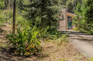 17000 Nina Ln, Fiddletown, CA 95629 - Photo 86