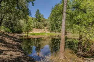 17000 Nina Ln, Fiddletown, CA 95629 - Photo 68