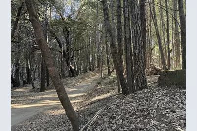 8989 Dooty Ridge Road, Garberville, CA 95542 - Photo 2