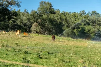 14514 Bald Mountain Road, Penn Valley, CA 95946 - Photo 84