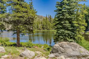 1 Magonigal Rd, Soda Springs, CA 95728 - Photo 92