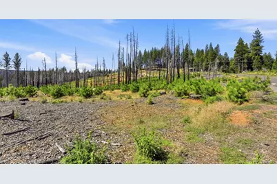 112 Grizzly Flat Road, Grizzly Flats, CA 95636 - Photo 12