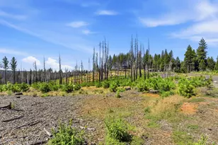 112 Grizzly Flat Rd, Grizzly Flats, CA 95636 - Photo 12