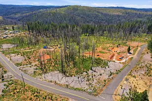 112 Grizzly Flat Rd, Grizzly Flats, CA 95636 - Photo 2