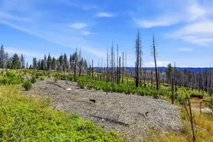 112 Grizzly Flat Rd, Grizzly Flats, CA 95636 - Photo 10