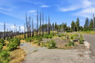 112 Grizzly Flat Rd, Grizzly Flats, CA 95636 - Photo 14