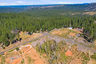 112 Grizzly Flat Rd, Grizzly Flats, CA 95636 - Photo 4