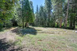530 Caine Rd, Alta, CA 95701 - Photo 28
