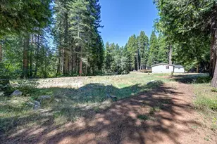 530 Caine Rd, Alta, CA 95701 - Photo 14