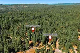 16351 Lake Vera Purdon Rd, Nevada City, CA 95959 - Photo 2