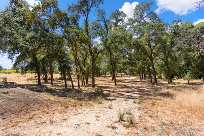 4245 Burnett Road, Lincoln, CA 95648 - Photo 68