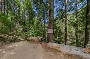 4 34 Milestone Trail, Kyburz, CA 95720 - Photo 2