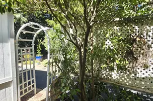 Full Circle, Davis, CA 95618 - Photo 32