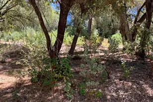 685 Grant Ln, Murphys, CA 95247 - Photo 1