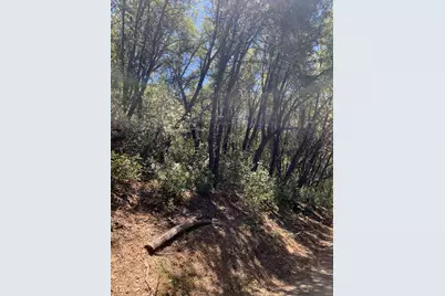 685 Grant Lane, Murphys, CA 95247 - Photo 4