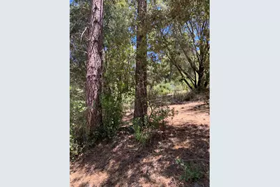 685 Grant Lane, Murphys, CA 95247 - Photo 2