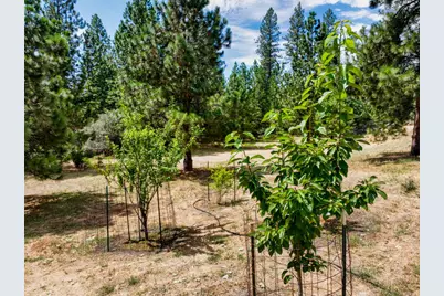 15264 Airport Road, Nevada City, CA 95959 - Photo 10
