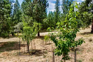 15264 Airport Rd, Nevada City, CA 95959 - Photo 10
