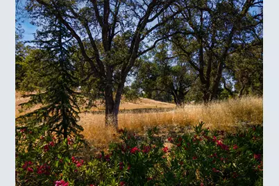0 S Shingle Road, Shingle Springs, CA 95682 - Photo 6