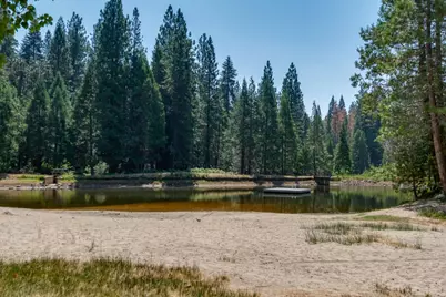 3487 Gardner Flat Road, Dorrington, CA 95223 - Photo 34