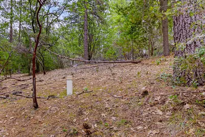 16020 Brooks Road, Grass Valley, CA 95945 - Photo 2