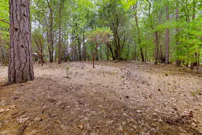 16020 Brooks Road, Grass Valley, CA 95945 - Photo 10