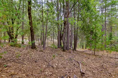 16020 Brooks Road, Grass Valley, CA 95945 - Photo 12