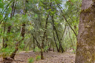 16020 Brooks Road, Grass Valley, CA 95945 - Photo 6
