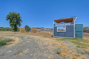 19435 East St, Woodland, CA 95776 - Photo 42
