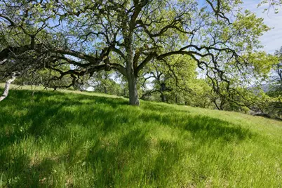 3460 Almosta Road, Placerville, CA 95667 - Photo 2