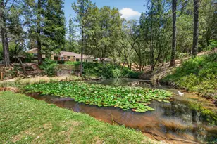 5131 Hackomiller Rd, Garden Valley, CA 95633 - Photo 2