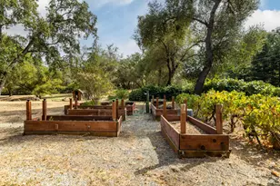 8051 Turner Dr, Granite Bay, CA 95746 - Photo 36