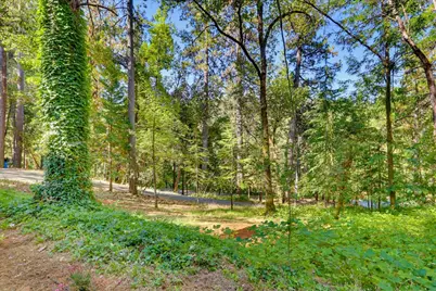 12176 E Bennett Road, Grass Valley, CA 95945 - Photo 66