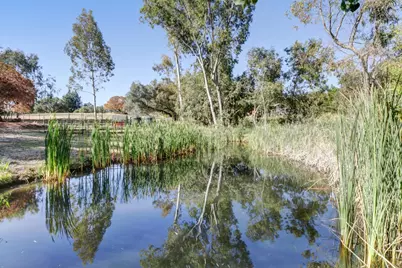 3625 Whiskey Hill Road, Loomis, CA 95650 - Photo 10