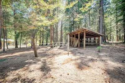 29330 Bear Paw Lane, Foresthill, CA 95631 - Photo 60