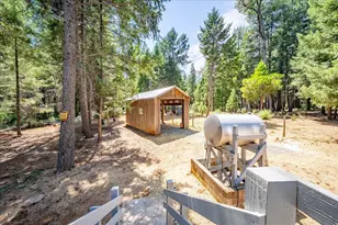 29330 Bear Paw Ln, Foresthill, CA 95631 - Photo 4