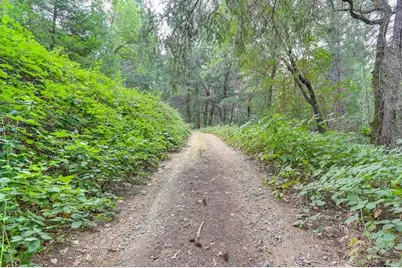 3701 Marshall Road, Garden Valley, CA 95633 - Photo 2
