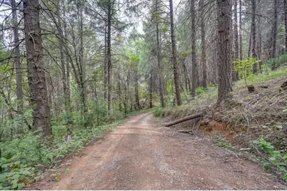0 Marshall Rd, Georgetown, CA 95634 - Photo 6