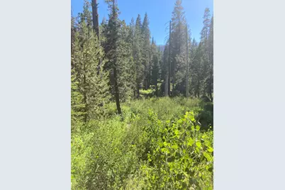 180 Bucks Meadow Drive, Bucks Lake, CA 95971 - Photo 12