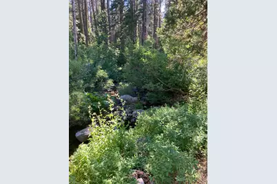 180 Bucks Meadow Drive, Bucks Lake, CA 95971 - Photo 8