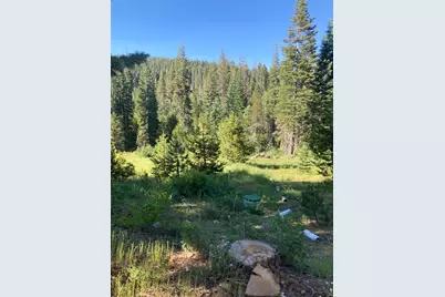 180 Bucks Meadow Drive, Bucks Lake, CA 95971 - Photo 16