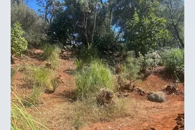 2000 Tegra Road, Cool, CA 95614 - Photo 32