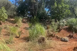 2000 Tegra Rd, Cool, CA 95614 - Photo 32