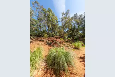 2000 Tegra Road, Cool, CA 95614 - Photo 8